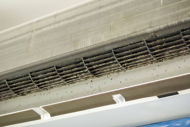 Best Home Air Vent Cleaning  in Taft Heights, CA